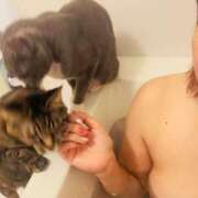 ヒメ日記 2026/02/08 08:49 投稿 のりか 人妻美人館