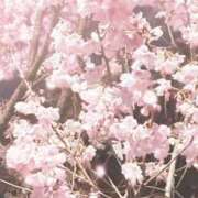 ヒメ日記 2026/04/09 19:57 投稿 松雪 あなたに逢いたくて