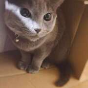 ヒメ日記 2026/04/15 20:07 投稿 松雪 あなたに逢いたくて