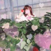 ヒメ日記 2026/05/14 11:48 投稿 澤村えりり メイドin横浜（横浜ハレ系）