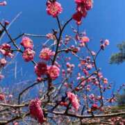 ヒメ日記 2025/03/04 12:54 投稿 みちる 熟女の風俗最終章 池袋店