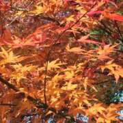 ヒメ日記 2025/10/08 13:58 投稿 みちる 熟女の風俗最終章 池袋店