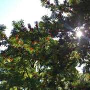 みちる こんにちは^ ^ 熟女の風俗最終章 池袋店