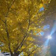 ヒメ日記 2025/11/27 10:57 投稿 かずき ベイキュート