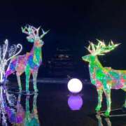 ヒメ日記 2024/12/15 02:35 投稿 ともみ 待ちナビ