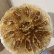 ヒメ日記 2025/02/25 18:32 投稿 ちか スピードエコ難波店