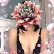 ヒメ日記 2026/03/23 11:32 投稿 結城りょう 五十路マダム静岡店（カサブランカG）