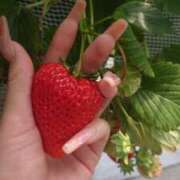 ヒメ日記 2025/04/12 15:25 投稿 りな♪ プリティーガール