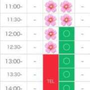 ヒメ日記 2024/03/30 16:00 投稿 さやか エディーズ