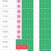 ヒメ日記 2025/03/07 11:20 投稿 さやか エディーズ