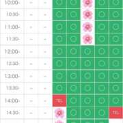 ヒメ日記 2025/03/10 18:57 投稿 さやか エディーズ