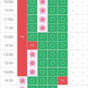 ヒメ日記 2025/03/12 09:47 投稿 さやか エディーズ