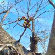 ヒメ日記 2025/03/25 18:26 投稿 さやか エディーズ