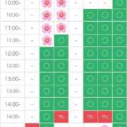 ヒメ日記 2025/04/04 15:36 投稿 さやか エディーズ
