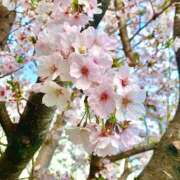 ヒメ日記 2025/04/06 20:56 投稿 さやか エディーズ