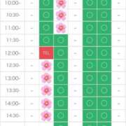 ヒメ日記 2025/04/12 22:05 投稿 さやか エディーズ