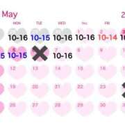 ヒメ日記 2025/04/27 19:26 投稿 さやか エディーズ