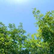 ヒメ日記 2025/04/30 10:56 投稿 さやか エディーズ