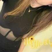 ヒメ日記 2025/05/13 11:17 投稿 さやか エディーズ