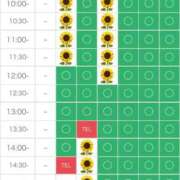 ヒメ日記 2025/06/21 18:36 投稿 さやか エディーズ