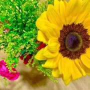 ヒメ日記 2025/06/21 20:26 投稿 さやか エディーズ