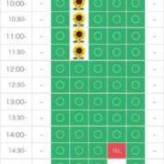 ヒメ日記 2025/06/26 00:04 投稿 さやか エディーズ