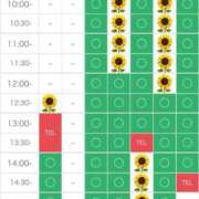 ヒメ日記 2025/06/30 13:02 投稿 さやか エディーズ