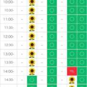 ヒメ日記 2025/07/11 19:16 投稿 さやか エディーズ
