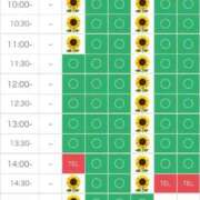 ヒメ日記 2025/07/15 11:56 投稿 さやか エディーズ