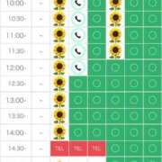 ヒメ日記 2025/07/18 20:26 投稿 さやか エディーズ