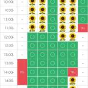 ヒメ日記 2025/07/21 14:06 投稿 さやか エディーズ