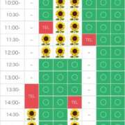 ヒメ日記 2025/07/23 14:06 投稿 さやか エディーズ