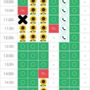 ヒメ日記 2025/07/24 08:03 投稿 さやか エディーズ