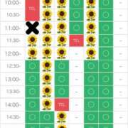 ヒメ日記 2025/07/24 10:06 投稿 さやか エディーズ