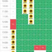 ヒメ日記 2025/08/06 12:26 投稿 さやか エディーズ