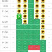 ヒメ日記 2025/08/07 19:16 投稿 さやか エディーズ