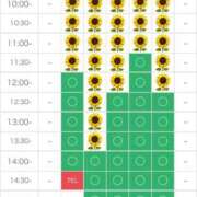 ヒメ日記 2025/08/10 19:16 投稿 さやか エディーズ