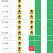 ヒメ日記 2025/08/14 16:36 投稿 さやか エディーズ