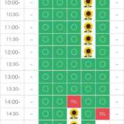 ヒメ日記 2025/08/19 14:05 投稿 さやか エディーズ