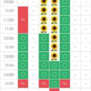 ヒメ日記 2025/08/27 11:26 投稿 さやか エディーズ