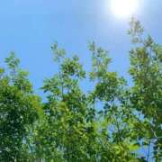 ヒメ日記 2025/10/09 16:16 投稿 さやか エディーズ