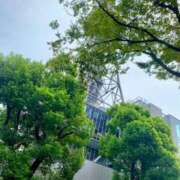 ヒメ日記 2025/10/21 14:10 投稿 さやか エディーズ