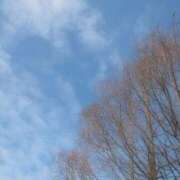 ヒメ日記 2025/12/22 09:41 投稿 さやか エディーズ