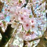 ヒメ日記 2026/03/20 09:56 投稿 さやか エディーズ