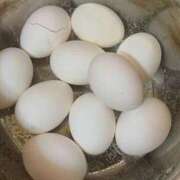 ヒメ日記 2026/03/23 10:26 投稿 さやか エディーズ