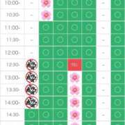 ヒメ日記 2026/04/01 14:46 投稿 さやか エディーズ