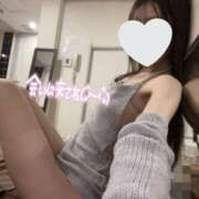 ヒメ日記 2025/02/10 08:00 投稿 あきほ CECIL