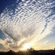 ヒメ日記 2025/03/10 11:05 投稿 ひより 完熟ばなな神戸・三宮店