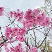 ヒメ日記 2025/04/09 09:53 投稿 ひより 完熟ばなな神戸・三宮店