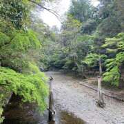 ヒメ日記 2025/05/02 11:11 投稿 ひより 完熟ばなな神戸・三宮店